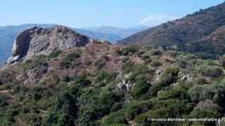 da di Volpe30-07-2015 22-55-28